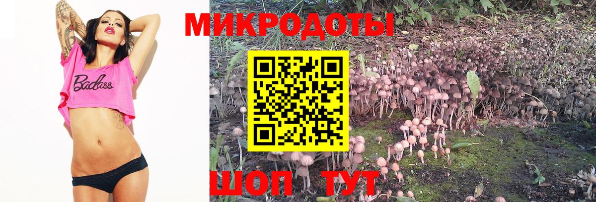 Михайловка  Псилоцибиновые грибы Magic Shrooms  как найти закладки  Псилоцибиновые грибы MAGIC MUSHROOMS  Вход с VPN 